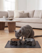 Black Checker Chewy Vuiton Placemat