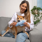 Nestpark Tumbler Cup Funny Dog Toy