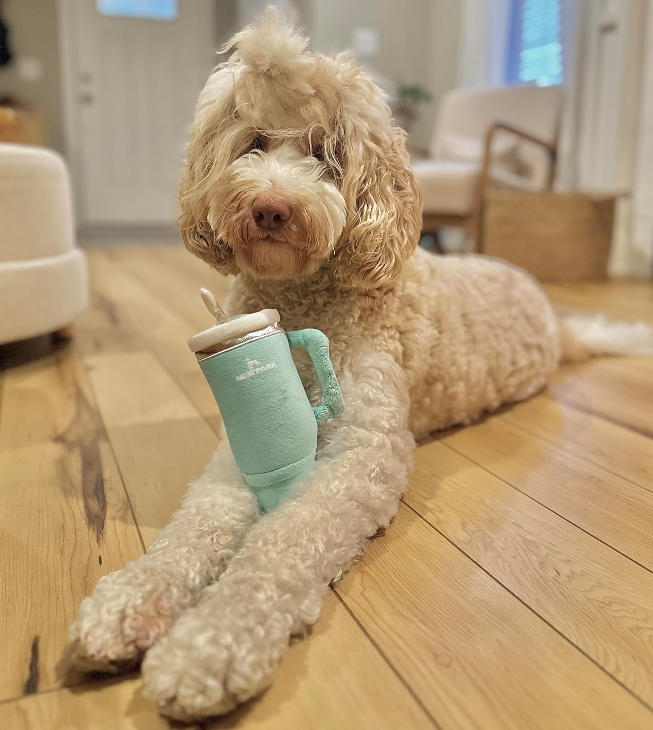 Nestpark Tumbler Cup Funny Dog Toy