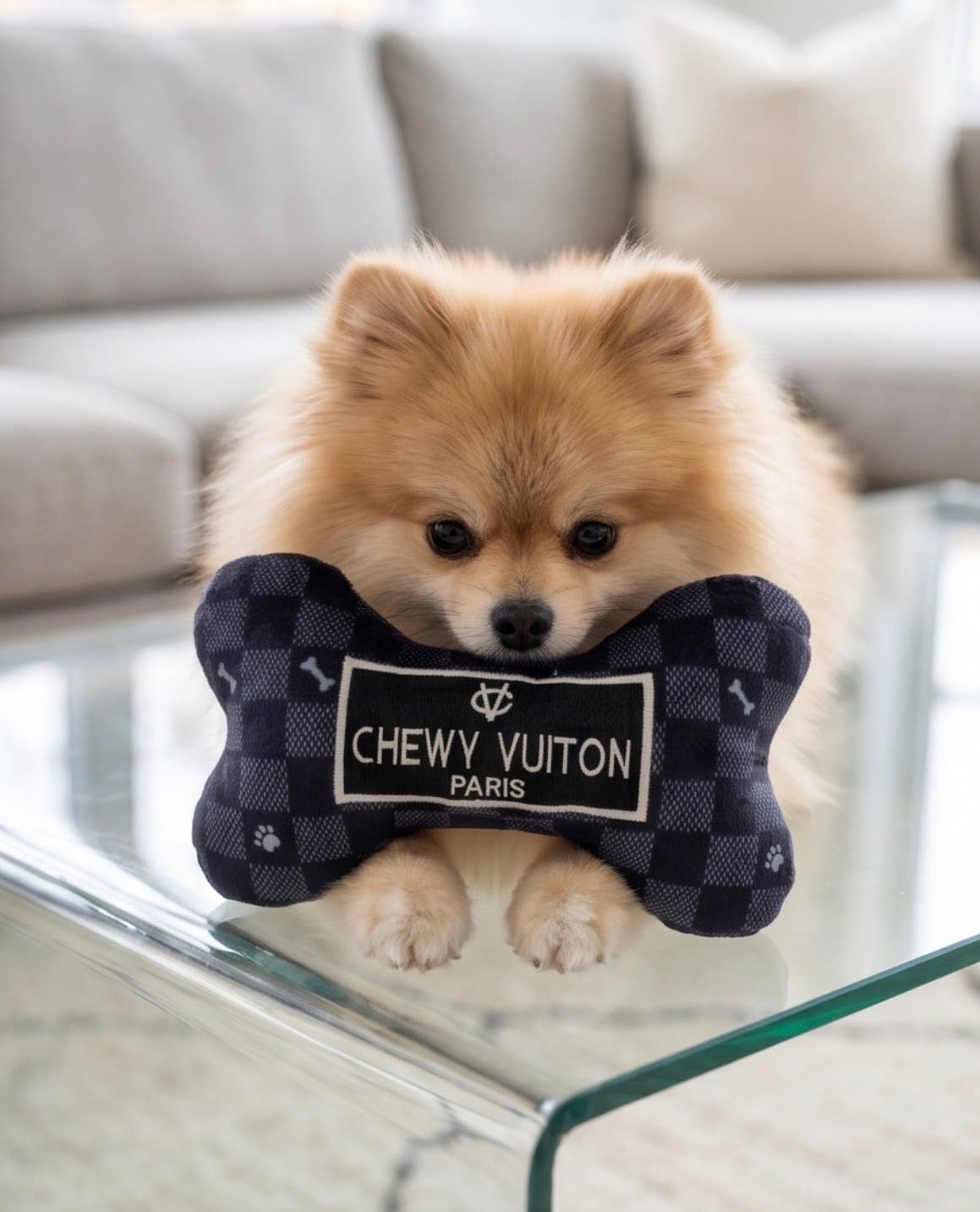 Black Checker Chewy Vuiton Bone