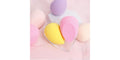 Beauty Blender Sponge